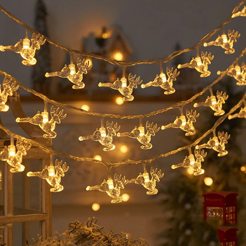 Festive Lighting & Decor Collection