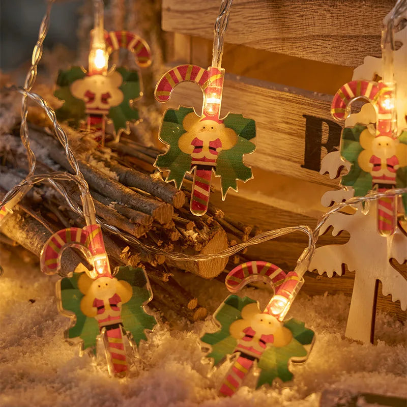 Festive Lighting & Decor Collection