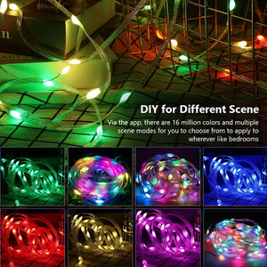 🎉 Dreamy Christmas Party Lights Collection